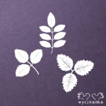 SUMMER FRUITS - liście