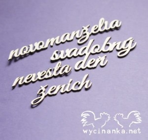 napisy "novomanželia, svadobný deň, ženích, nevesta" SK