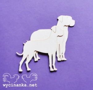 dogi niemieckie, 3 szt.