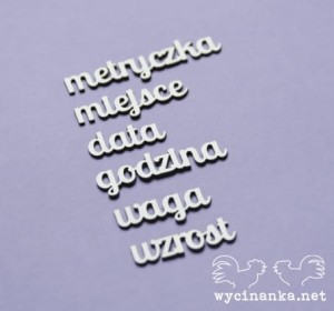 zestaw napisów METRYCZKA