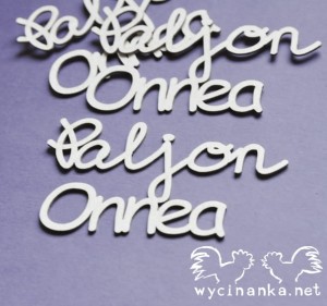 napisy "Paljon Onnea" FI, wz.4, 3 szt.