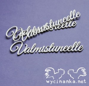 napisy "Valmistuneelle" FI, wz.2, 3 szt.