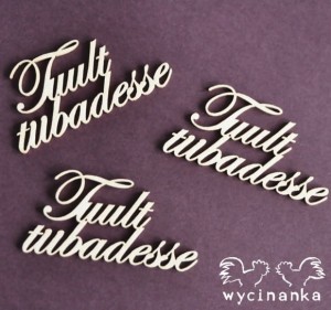 napisy "Tuult tiibadesse" EE, 3 szt.