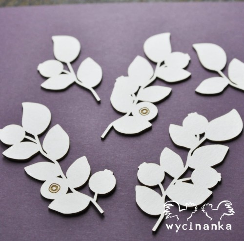  SUMMER FRUITS - jagoda