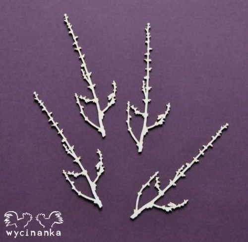 THE LOOK OF NATURE 6