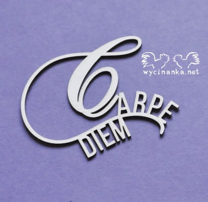 Tekturowy napis CARPE DIEM.
